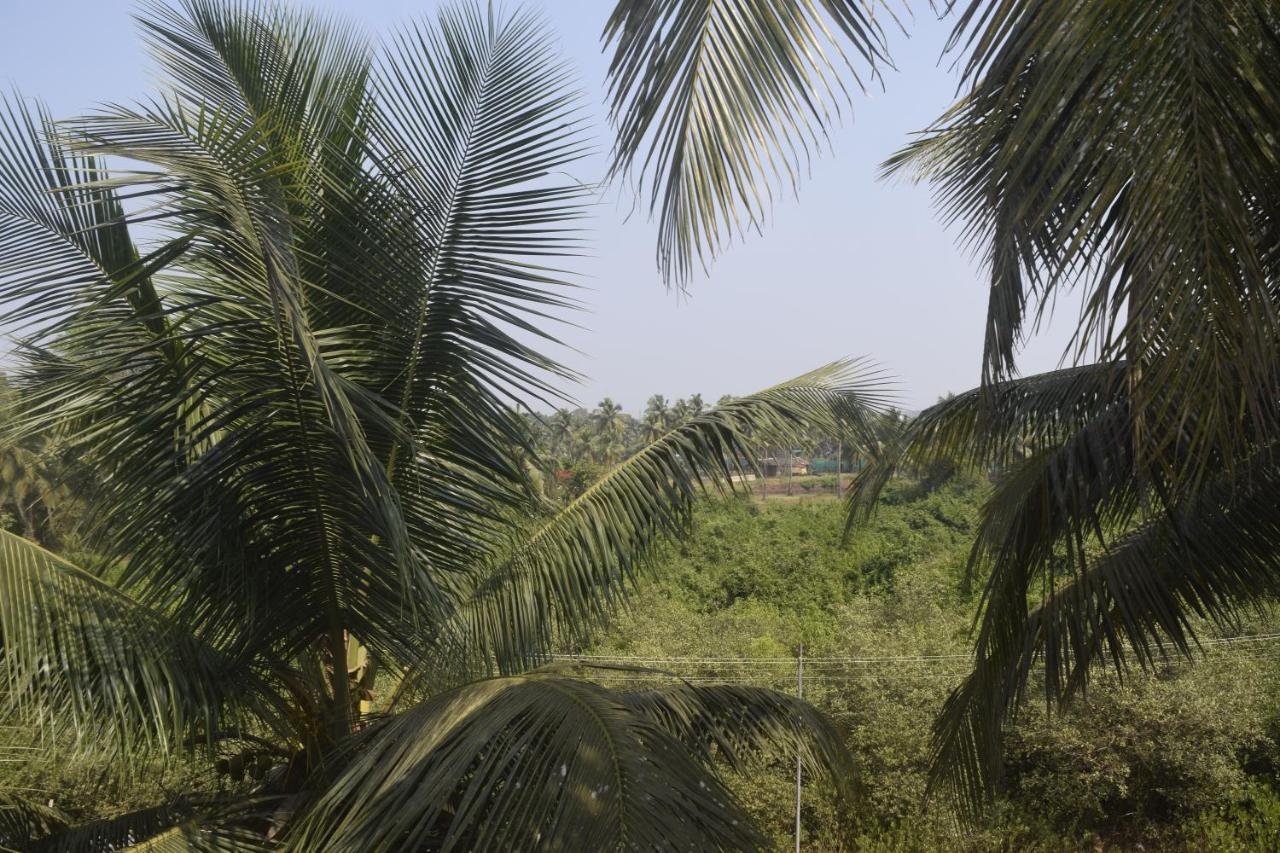 Spirithouse Hostel Arambol Exterior photo